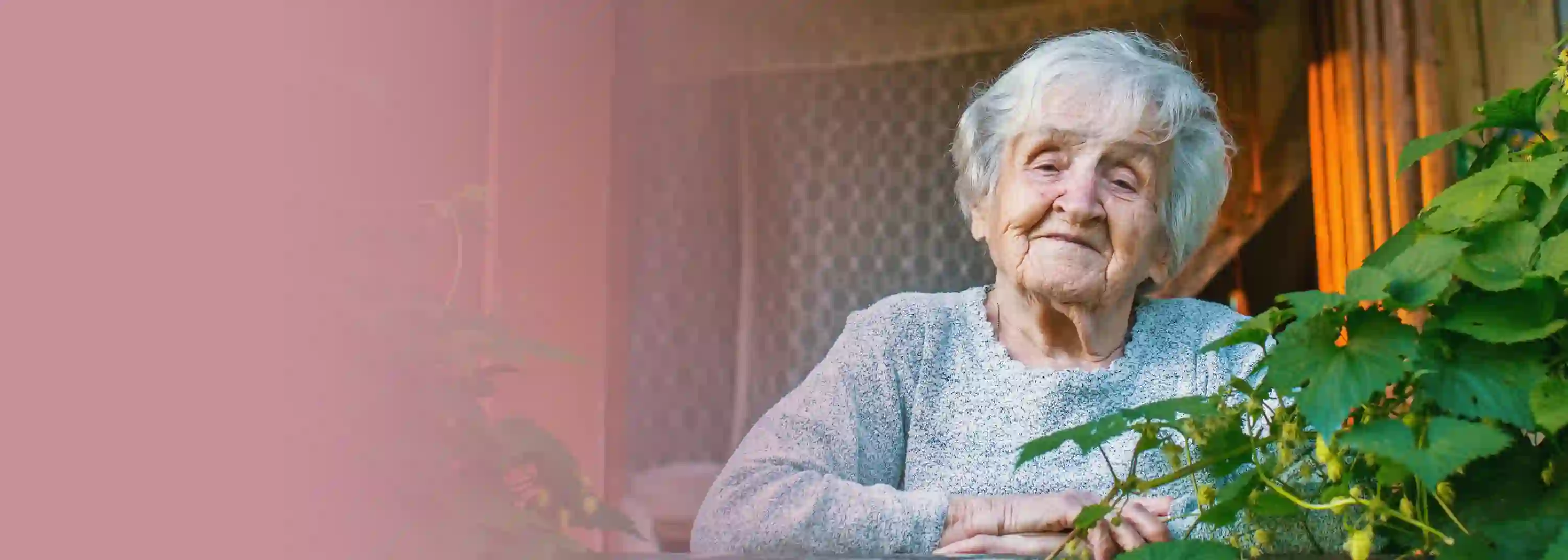 Vorlage Slider mit verlauf