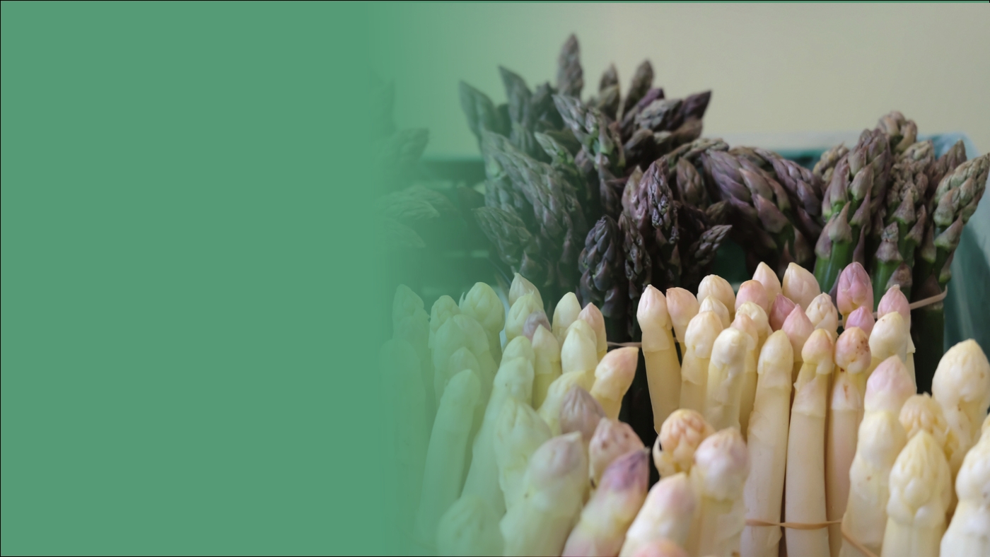 Spargel